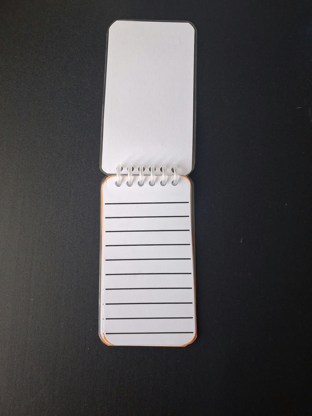 Dysregulated Citrus Stationery Set