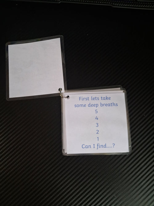 "I Can Use My Senses To Help Me Feel Calm" SEND Sensory Regulation Keyring Booklet – Neurodivergent Children's Resource
